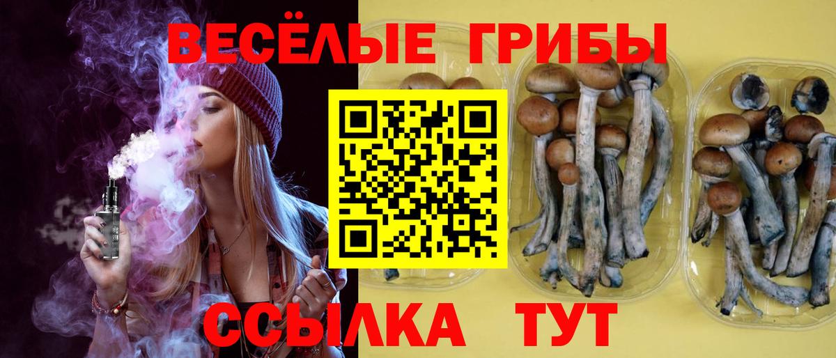 Галлюциногенные грибы Psilocybine cubensis Канаш